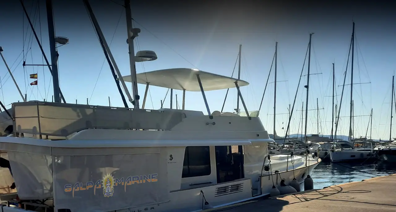 Salpa Marine