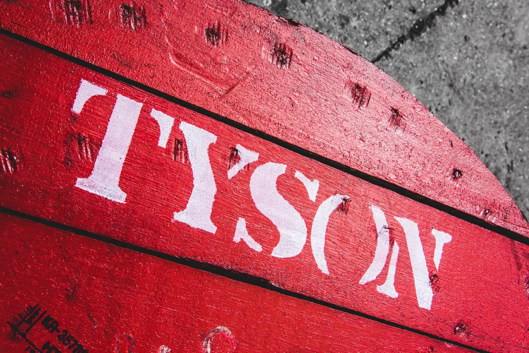 Tyson Ships Riggers Ltd
