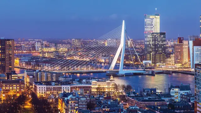 Wrist Rotterdam